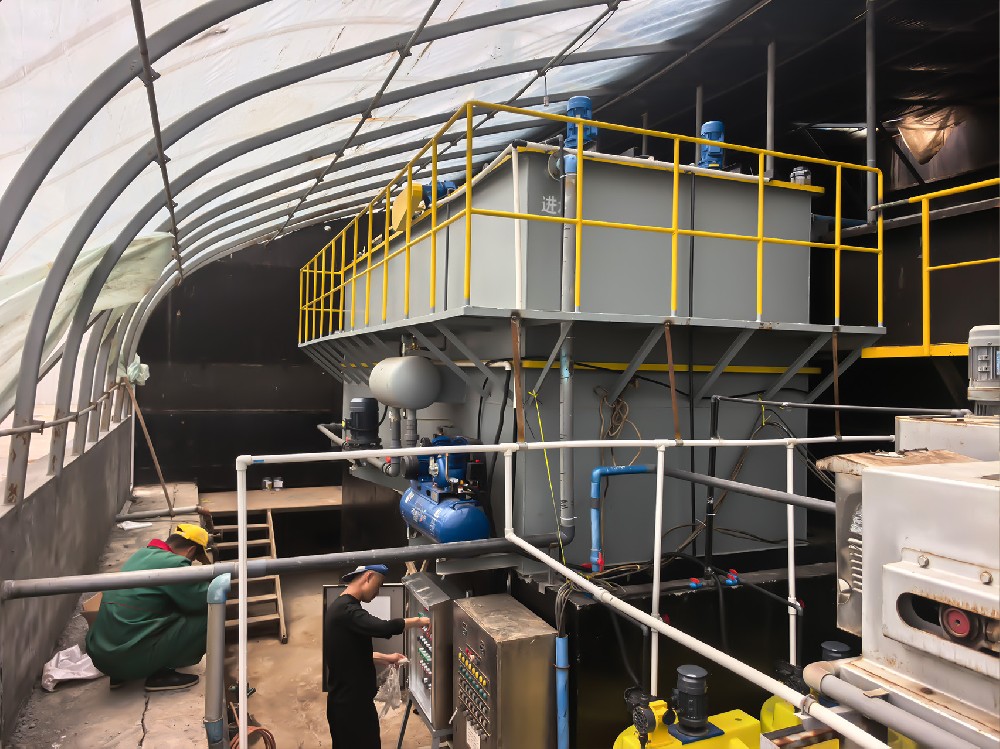 不同規(guī)模養(yǎng)豬場廢水處理設(shè)備配置指南